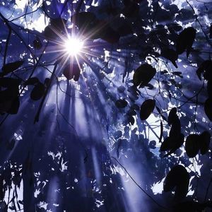 Meet your Posher, Marcia